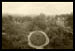 Vue du parc